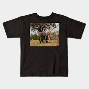 Young African Bull Elephant Kids T-Shirt